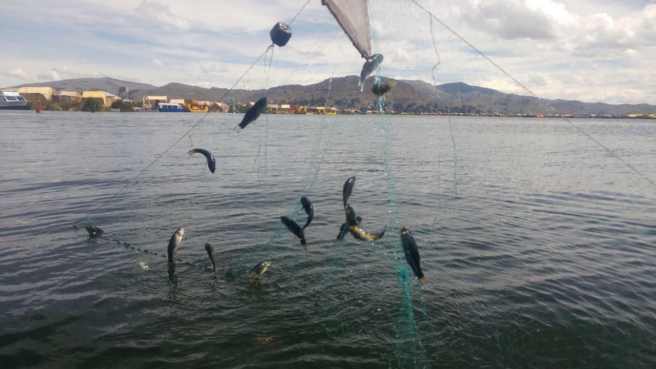 Quechua lodge Titicaca Puno Ngoại thất bức ảnh